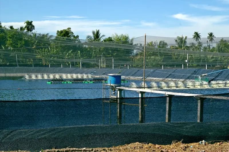 Rising production cost pushes the need for a more efficient aeration system.