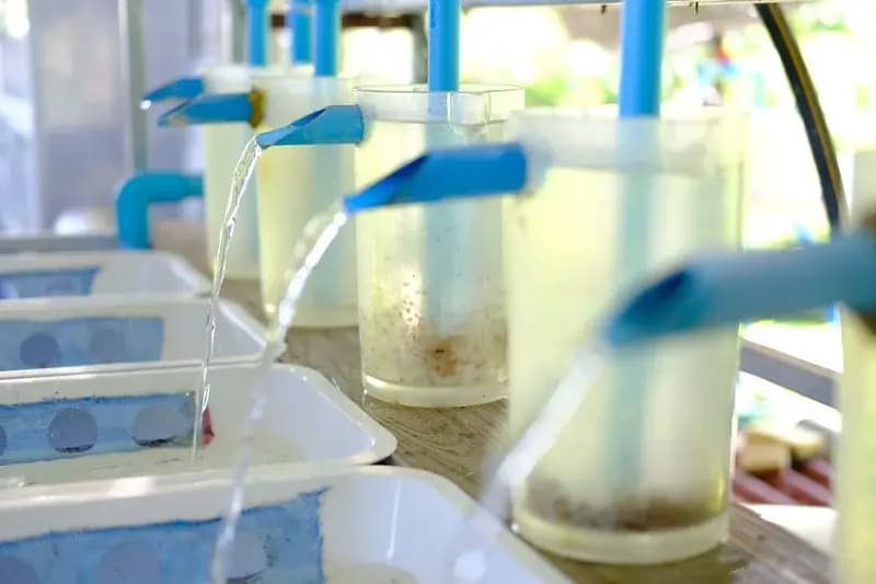 Continuous water demand for aquaculture