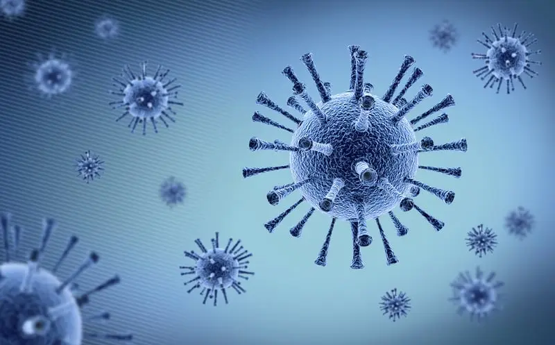 Frequent disease outbreaks reduce productivity