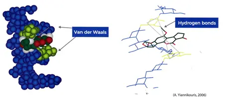 Bind Mycotoxins
